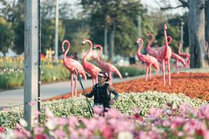 BIB: 
                            <button type="button" onclick="openModal(27344165)" class="btn btn-primary btn-sm float-right btn-popup" data-toggle="modal" data-target=".modal-high-quality">
                        <i class="fas fa-shopping-cart"></i> Add to Cart
                    </button>
                                            <button type="button" onclick="isThisMe(27344165, true)" class="btn btn-success btn-sm float-right btn-popup btn-isme hidden" data-toggle="tooltip" data-placement="bottom" title="นี่คือรูปของคุณใช่ไหม คลิกที่นี่เพื่อเอาเข้าอัลบั้ม">
                        <i class="fas fa-plus"></i> Add to album
                    </button>
                    <button type="button" onclick="isThisMe(27344165, false)" class="btn btn-warning btn-sm float-right btn-popup btn-isnotme hidden">
                        <i class="fas fa-ban"></i> Remove from album
                    </button>